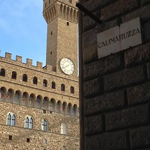 Affittacamere Olga's House, Firenze